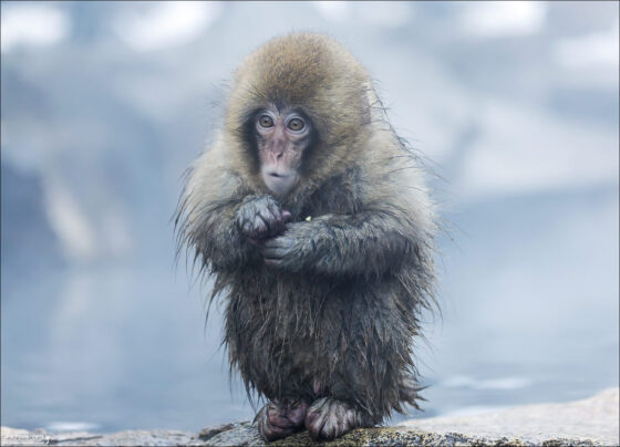 Винтажная сумка Rebeca Sanver Rebeca Sanver — фото 5